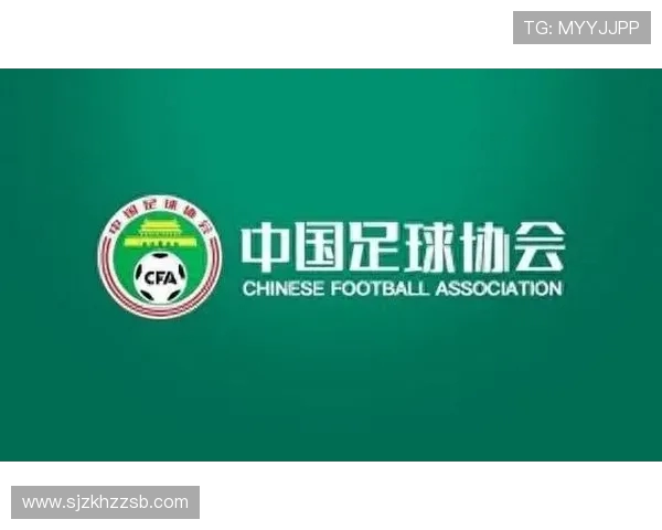 刘宗麒成为首位95后国际级裁判 马宁47岁高龄继续注册为中心 刘宗麒成为首位95后国际级裁判 马宁47岁高龄继续注册为中心